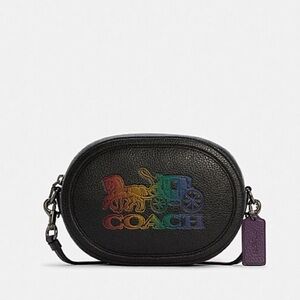 Camera Bag With Horse And Carriage